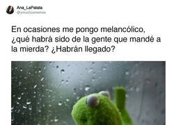 Enlace a La verdad que poco me importa, por @ymuchosmemes