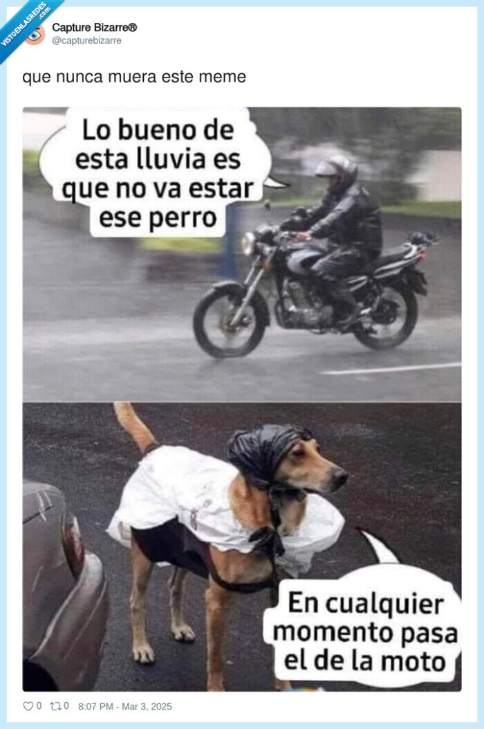 atacar,lluvia,perro,moto