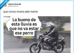Enlace a Ahí está siempre esperando el perro hdp, por @capturebizarre