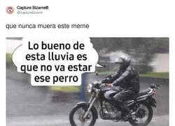 Enlace a Ahí está siempre esperando el perro hdp, por @capturebizarre