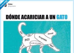 Enlace a Spoiler: cuidado con el gato, por @nyconene