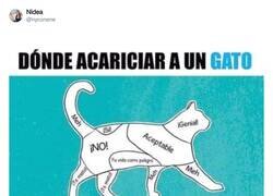 Enlace a Spoiler: cuidado con el gato, por @nyconene