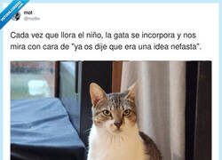 Enlace a Quien avisa no es traidor, por @motbv