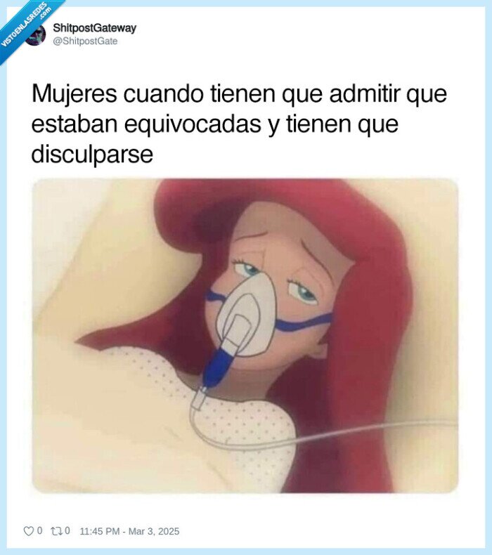 ariel,error,equivocada,disculparse,mujeres