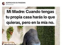 Enlace a Acabas de quitarme toda esperanza, por @PateaKulos