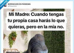 Enlace a Acabas de quitarme toda esperanza, por @PateaKulos