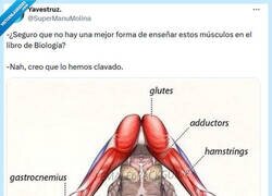 Enlace a Queda bastante clarito por @supermanumolina