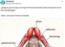 Enlace a Queda bastante clarito por @supermanumolina