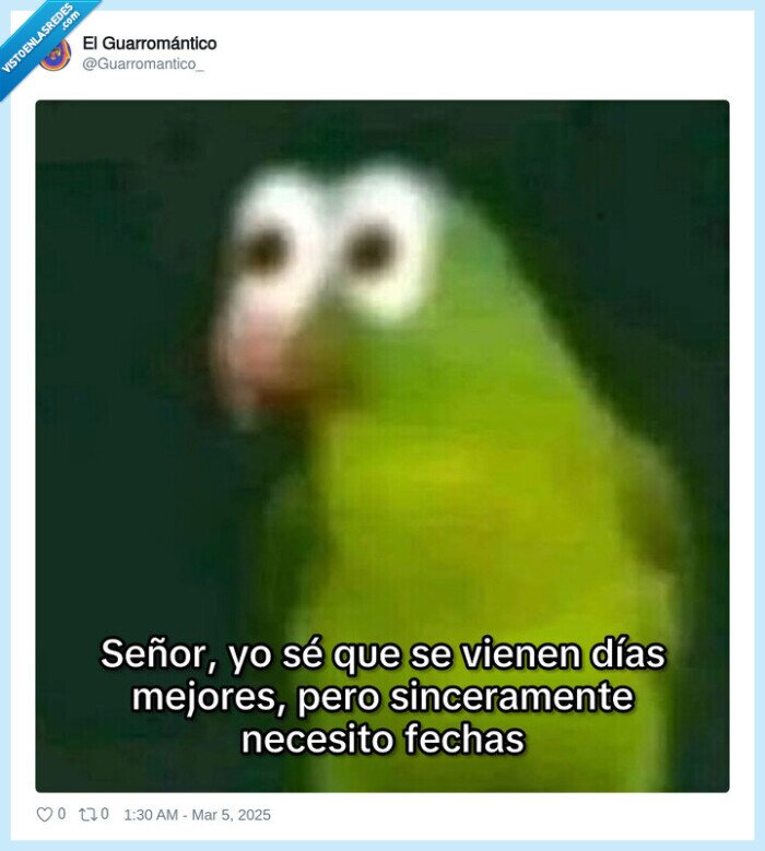 loro,dias mejores,cuando,fechas