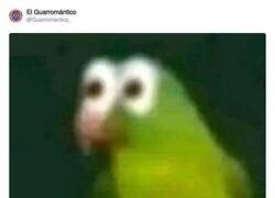 Enlace a Necesito saber cuando, por @Guarromantico_