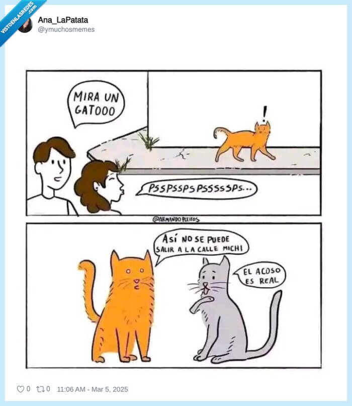 pspspsps,gato