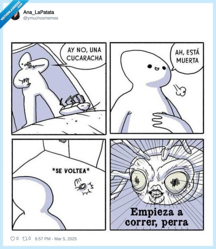 cucaracha,muerta,correr