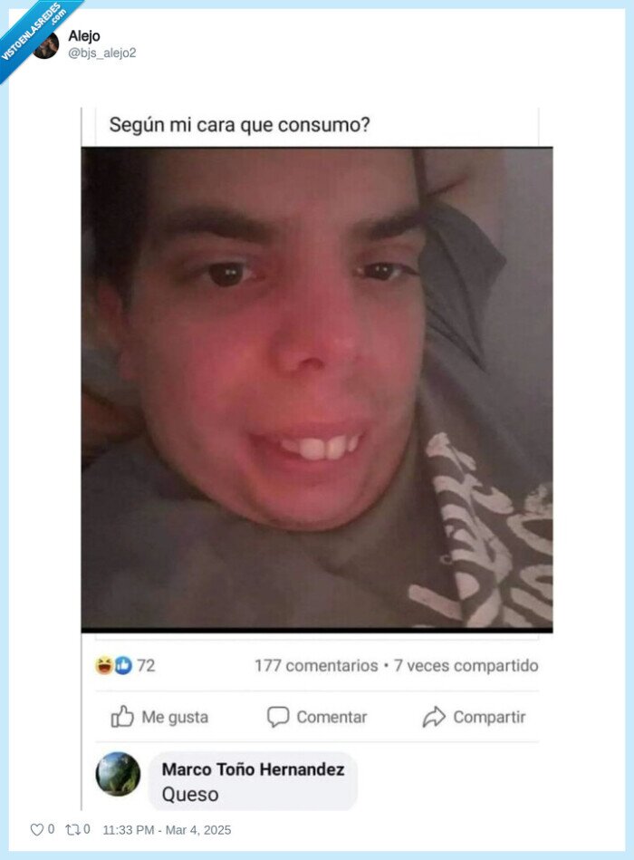 consumir,dientes,queso,ratón