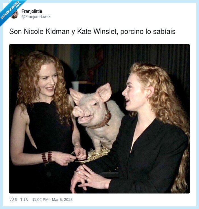 cerdo,porcino,nicole kidman,kate winslet