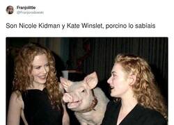 Enlace a ¿Y el nombre del gorrino?, por @Franjorodowski