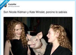 Enlace a ¿Y el nombre del gorrino?, por @Franjorodowski