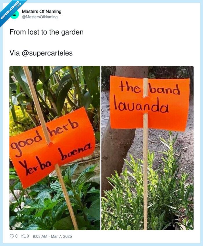traducciones,carteles,plantas