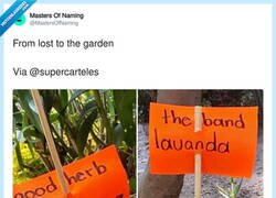 Enlace a Nivelazo de inglés, por @MastersOfNaming
