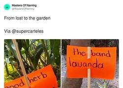 Enlace a Nivelazo de inglés, por @MastersOfNaming