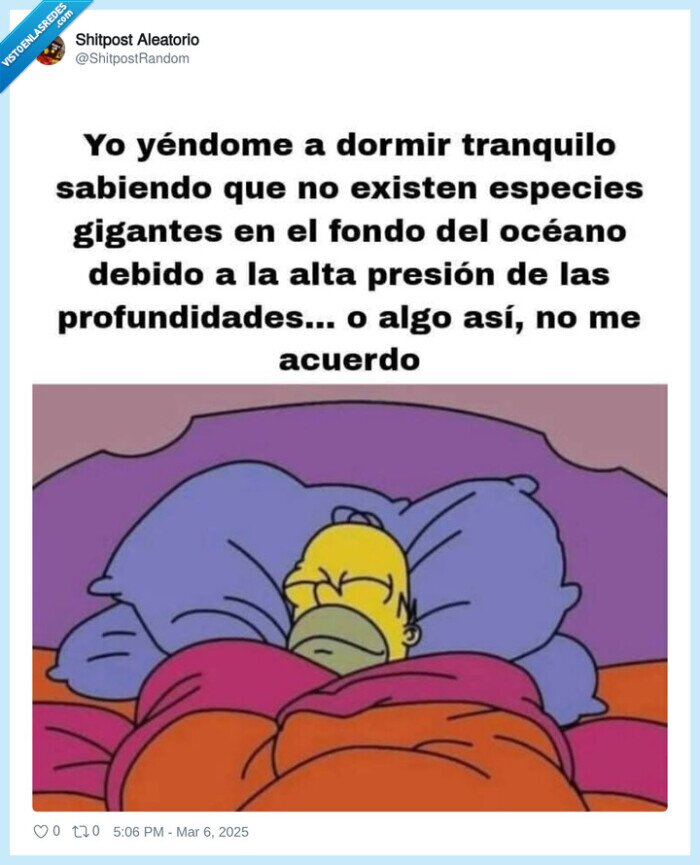 dormir,tranquilo,fondo oceano,bichos,monstruos