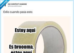 Enlace a Cuando buscar el corte en el celo, por @HumansNoContext
