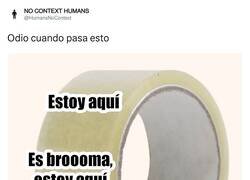 Enlace a Cuando buscar el corte en el celo, por @HumansNoContext