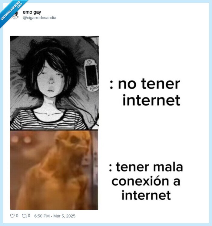 internet,mal,conexion