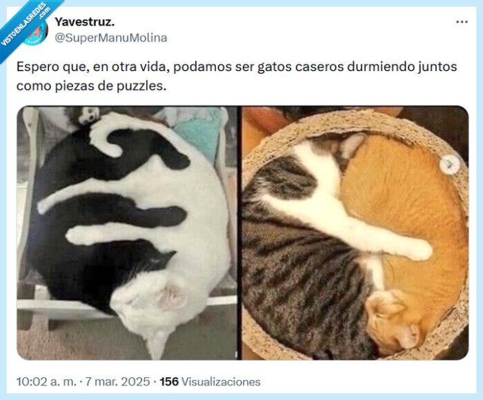 puzles,gato,pieza