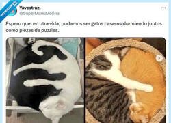 Enlace a El círculo perfecto por @supermanumolina