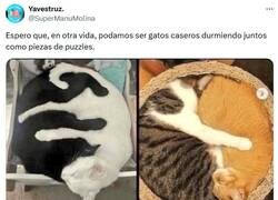 Enlace a El círculo perfecto por @supermanumolina