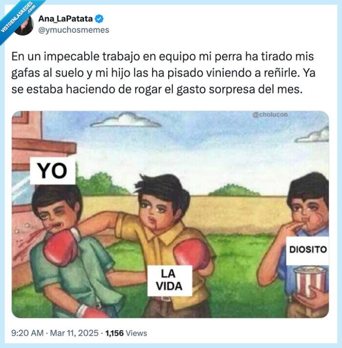 gafas,rotas,perro,hijo