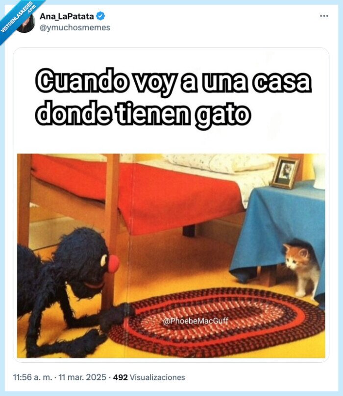 1693408 - Sal de ahí ya, leñes, por @ymuchosmemes