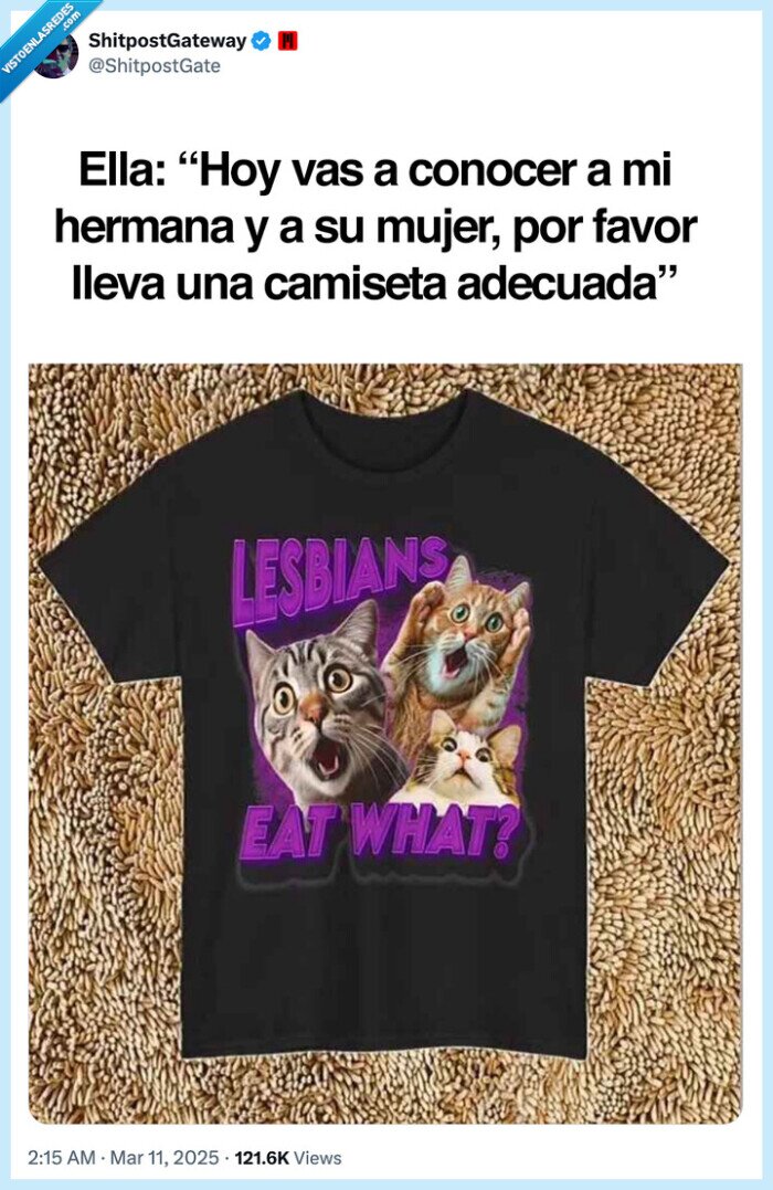 lesbiana,mujer,novia,cuñada,conocer,camiseta,troll