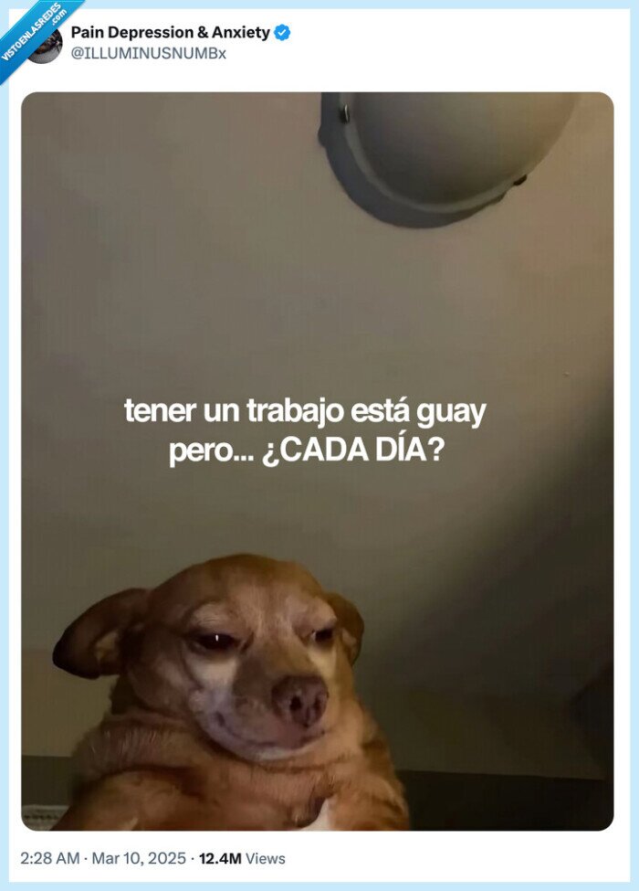 trabajo,demasiado,cada día