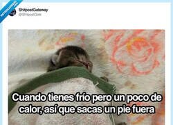 Enlace a Esto es la gloria
