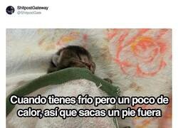 Enlace a Esto es la gloria