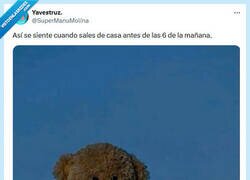 Enlace a A la aventura por @supermanumolina