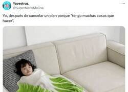 Enlace a Ocupadísimo por @supermanumolina