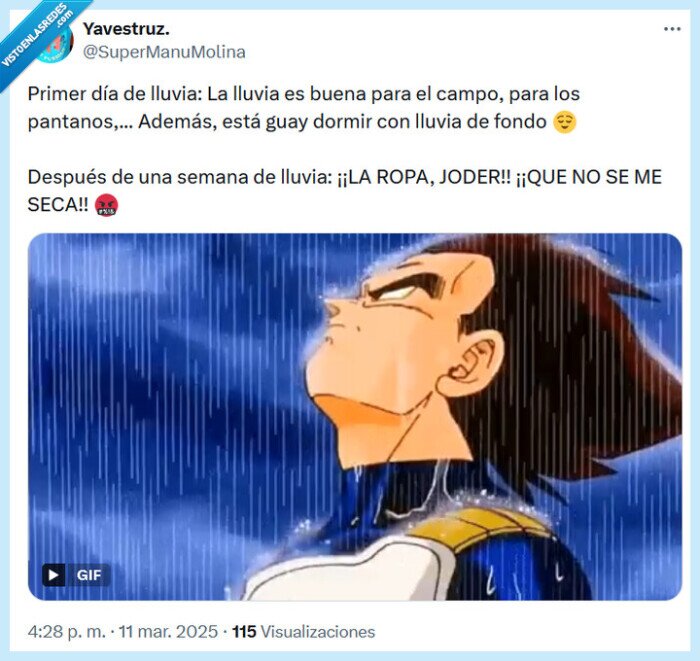 lluvia,vegeta,ropa,día
