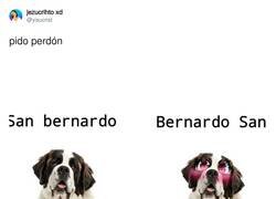 Enlace a El perro kawaii, por @yisucrist