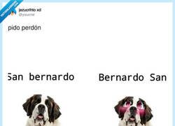 Enlace a El perro kawaii, por @yisucrist