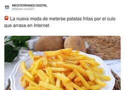 Enlace a Nos merecemos la extinción, por @MediterraneoDGT