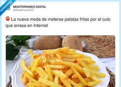 Enlace a Nos merecemos la extinción, por @MediterraneoDGT