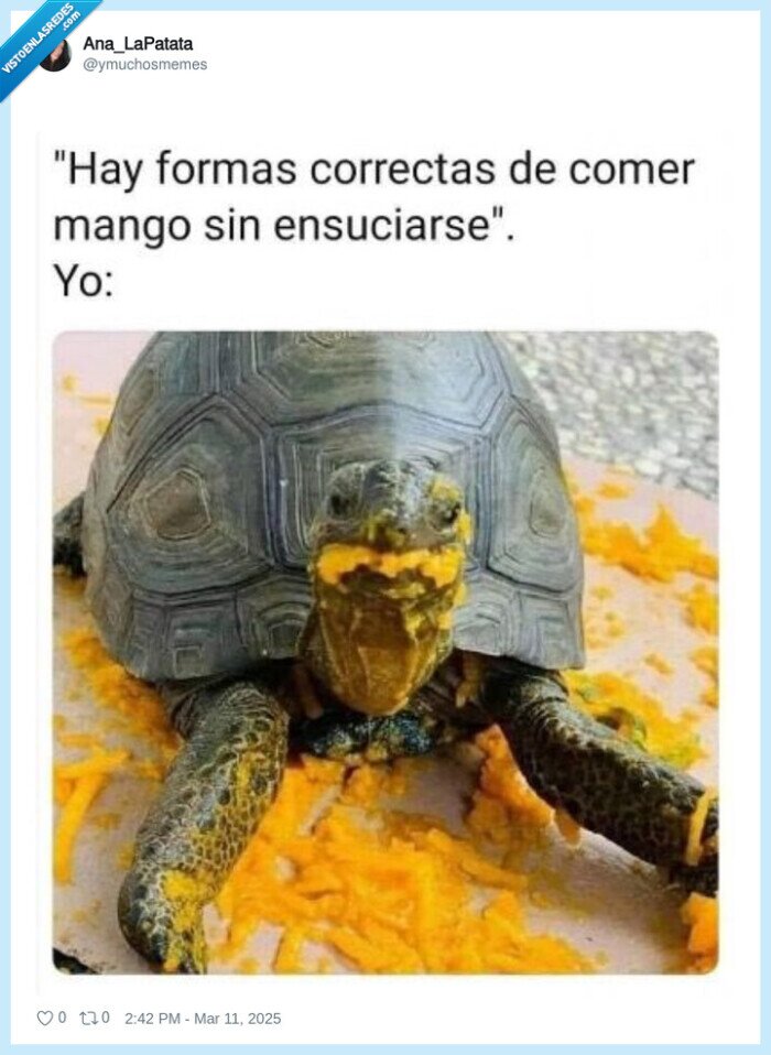 mango,ensuciarse,comer