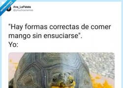 Enlace a Pues que me digan cómo, por @ymuchosmemes