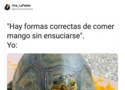 Enlace a Pues que me digan cómo, por @ymuchosmemes