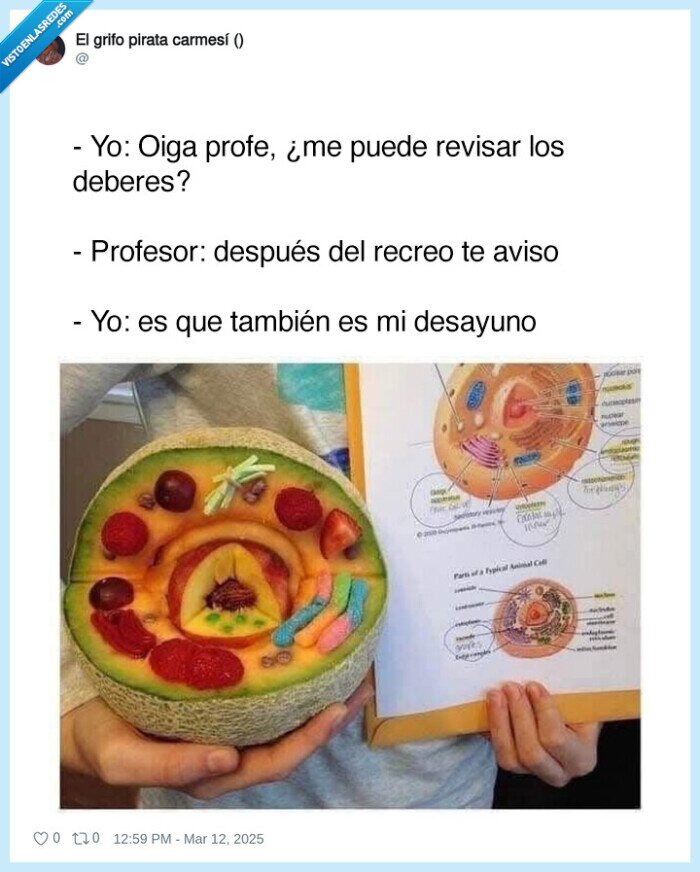 desayuno,comida,deberes