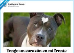 Enlace a JAJAJAJA, por @EnsedeCiencia