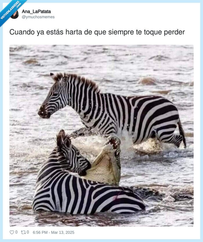 1693737 - Dando la vuelta a la historia, por @ymuchosmemes