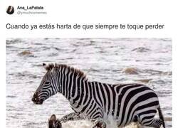 Enlace a Dando la vuelta a la historia, por @ymuchosmemes